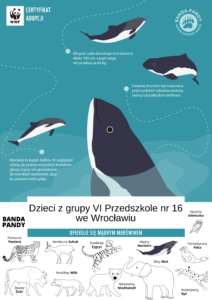 Certyfikat adopcji morświna
