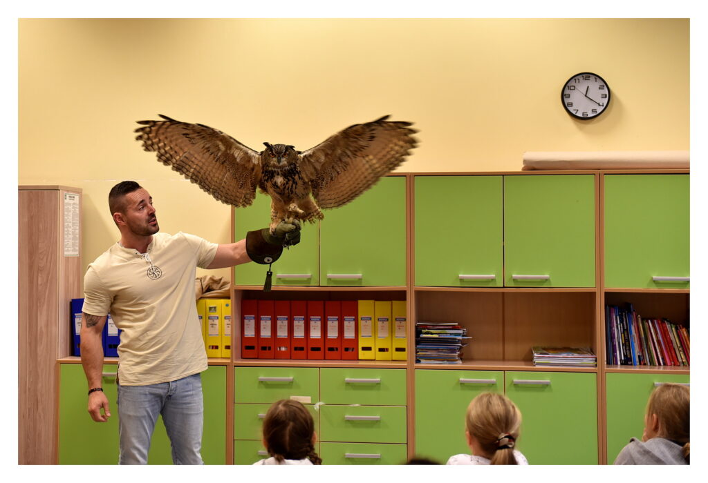 Pan Jakub prezentuje sowę- puchacza.