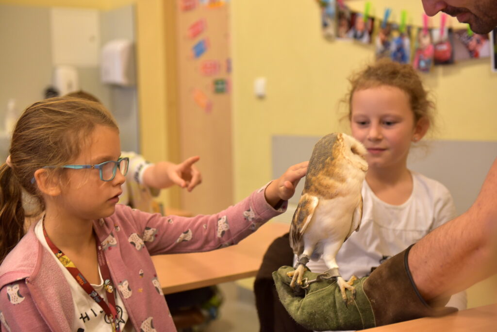 Uczennica klasy 2a głaszcze sowę.