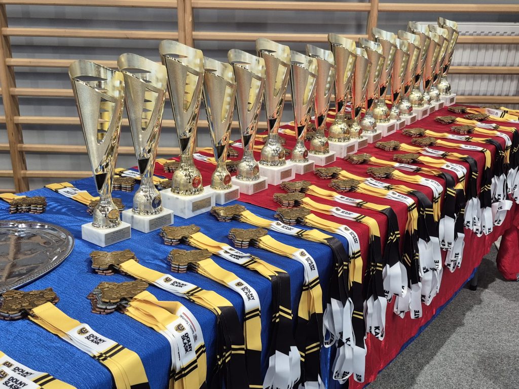 Puchary i medale