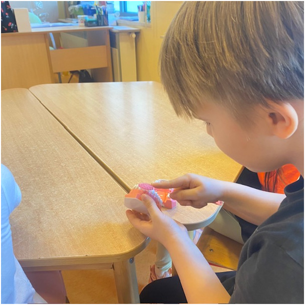 Szczotkowanie modelu zębowego przez ucznia przy użyciu odpowiedniej techniki pokazanej na warsztatach.