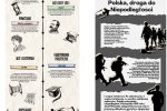Przykładowe infografiki o odzyskaniu przez Polskę niepodległości stworzone przez ósmoklasistów w aplikacji Canva